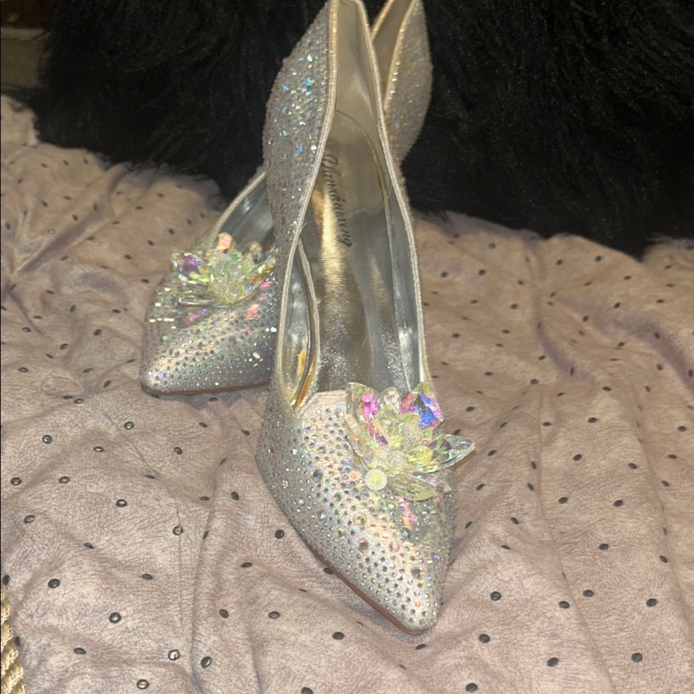 Pleaser Silver Glitter Heels with Chunky Block Heel